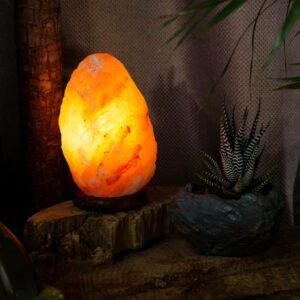 Himalayan salt lamp