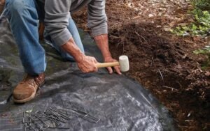 weed barrier for paver patio 