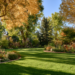 beautiful yard after fall cleanup