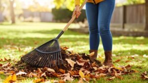 raking leaves to prepare yard for fall and winter